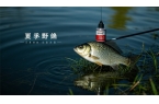 夏季野釣鯽魚有啥秘訣？答案驚人！