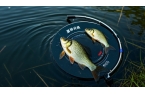 想在夏季野釣鯽魚大豐收？不看這些技巧就虧
