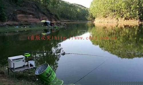 黑坑偷驢用5h還是6h的魚(yú)竿好用(黑坑偷驢用多長(zhǎng)的竿比較好)
